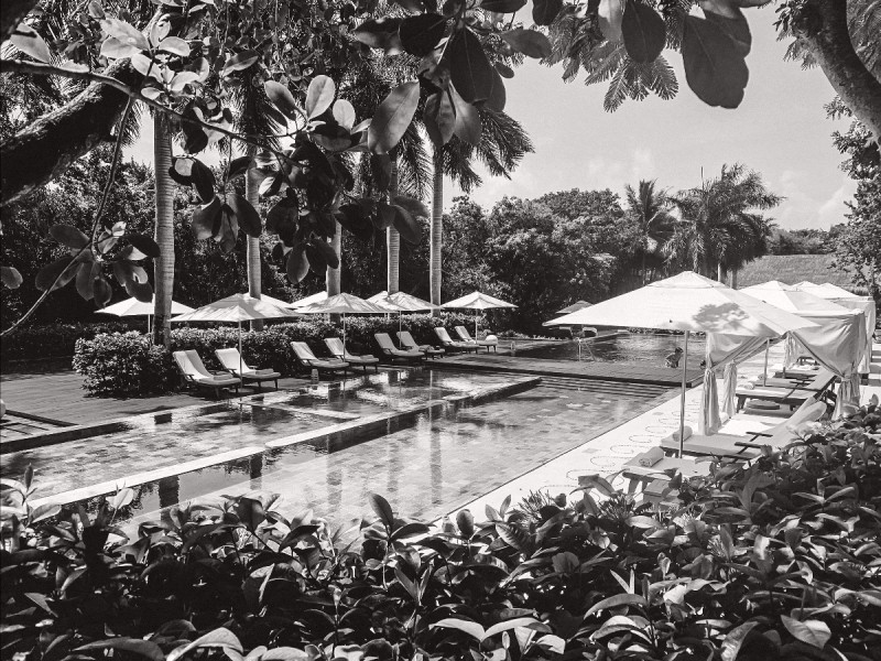 pool with palm trees