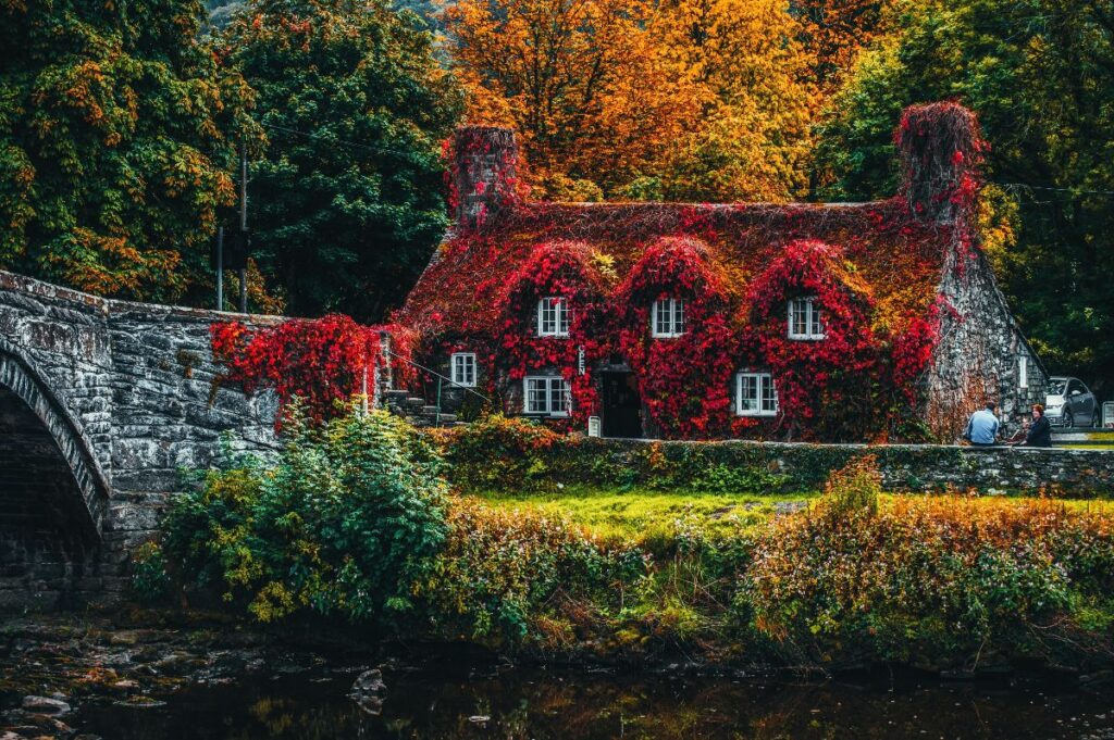 House In Fall Colors