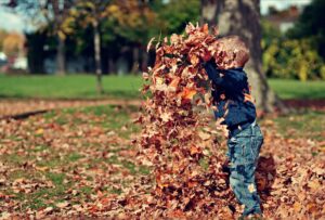 Kid Playing In A Pile Of Leaves During Fall