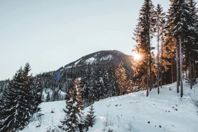 Mountain In The Snow