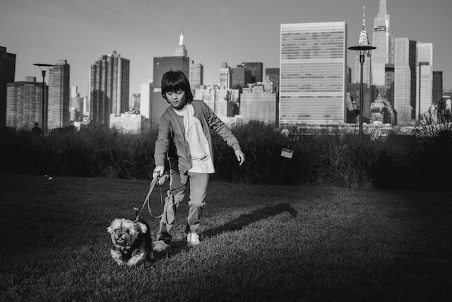 Child Walking A Dog With NYC Skyline In The Background, Viewed From Brooklyn