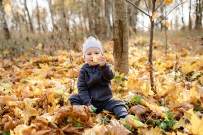 Toddler Surrounded By Fall Leaves Looking At A Leaf