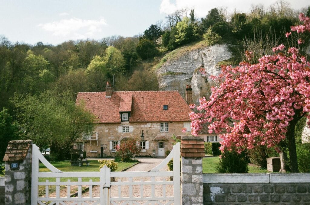 Estate With Tree In Bloom During Spring