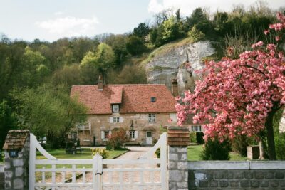 Estate With Tree In Bloom During Spring