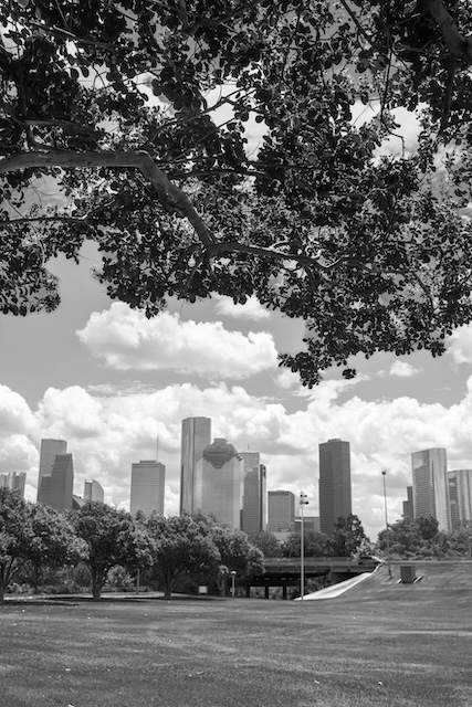 View Of Houston Skyline Under A Tree Branch