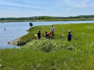 Children Enjoying Outdoor Free Play